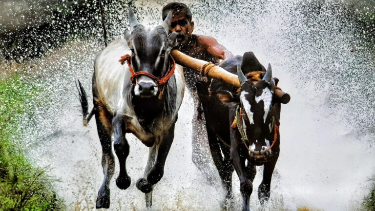 What is KrishiAadhar & Why Now?